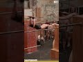 Breakout Win for Marc Chastanet in Skill at the European Parkour Championships