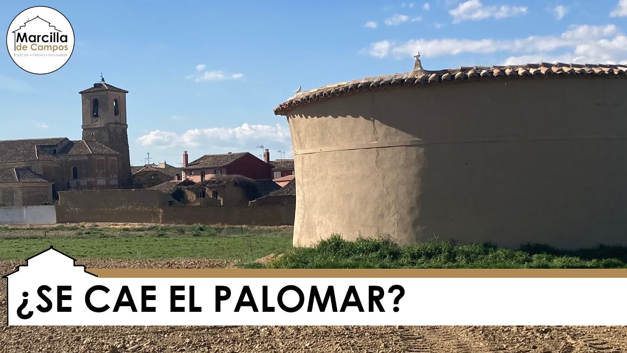 Rehabilitamos un Palomar - Marcilla de Campos