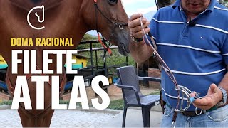 Embocaduras para caballos 🐴- FILETE ATLAS