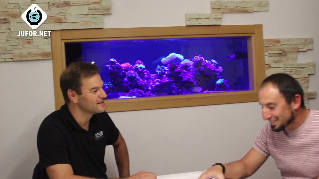 Montamos un ACUARIO MARINO espectacular de más de 400 litros 🐠