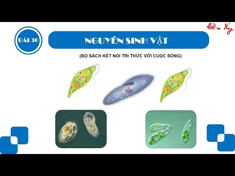 Video: Vai trò của vi sinh vật trong quá trình xử lý sinh học là gì?
