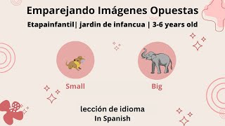 Emparejando Imágenes Opuestas | Area de Lenguaje | 3-6 Years Old | Primary Level | Kindergarten