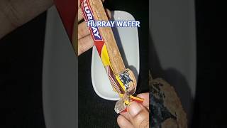 ASMR//hurray Chocolate layered biscuits wafer #newproduct