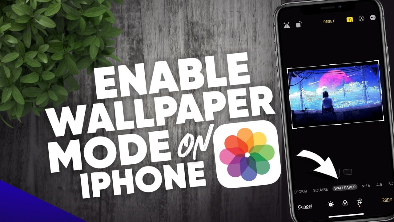 How to enable Wallpaper Mode on Photos App Crop High Resolution Image
