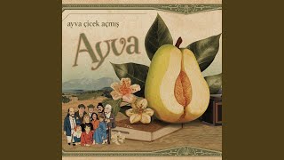 Ayva Çiçek Açmış