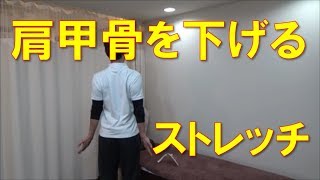 巻き肩 猫背が治る 肩甲骨ストレッチ 京都市北区 もり鍼灸整骨院 Youtube