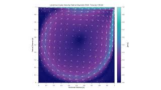 Lid-driven cavity at Re = 5000: velocity field