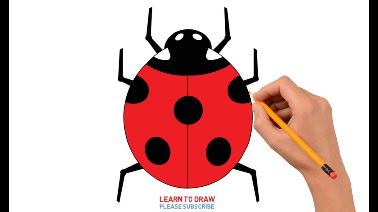 how to draw a ladybug for kids