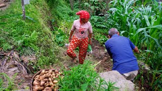 Download Lagu jungle man's quality time with his wife in the village, family in the jungle @junglefamilycooking MP3 Download Lagu jungle man's quality time with his wife in the village, family in the jungle @junglefamilycooking MP3