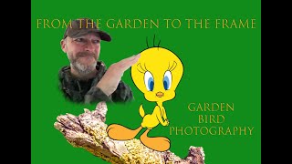 From the garden to the frame - Garden Bird Photography