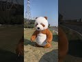 Seven is here to teach the moves! #KungfuPanda #GiantPanda