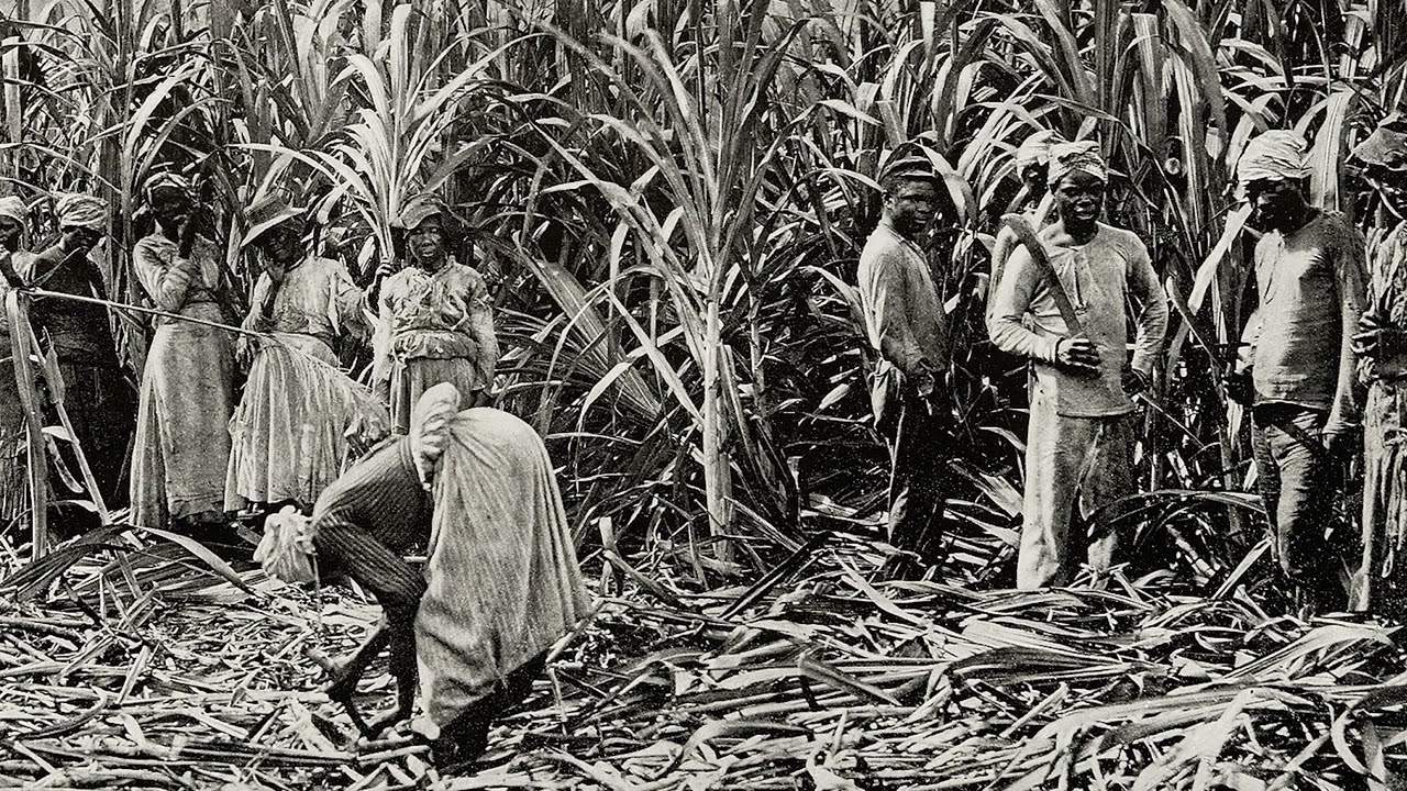 Solomon Jazz | Sugar Cane Alleys | Instrumental (Demo)