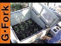 Growing Vegetables In Winter In Cold Frames - Updated Video - GardenFork