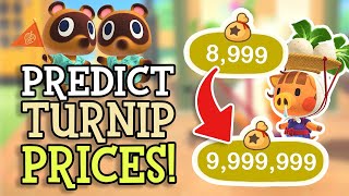 Animal Crossing New Horizons: PREDICT TURNIP PRICES (How To Know When To Sell Turnips! Stalk Market)