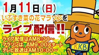 いぶすき菜の花マラソン2026ライブ配信 ～ゴールするランナーの様子をお届けします～