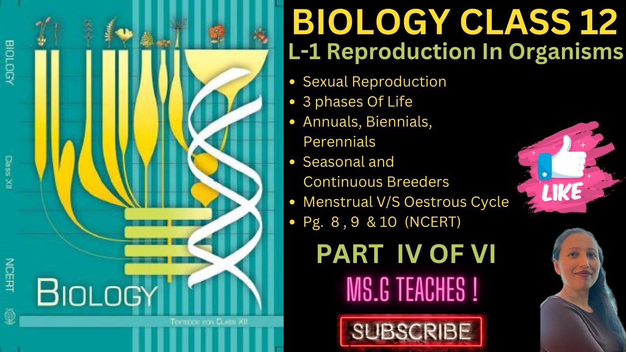 Sexual Reproduction Reproduction In Organisms Class 12 Biology