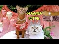 СВАДЬБА КОТА КЕВИНА И КИСЫ АРИЕЛЫ! УРА! КОТЫ ПОЖЕНИЛИСЬ