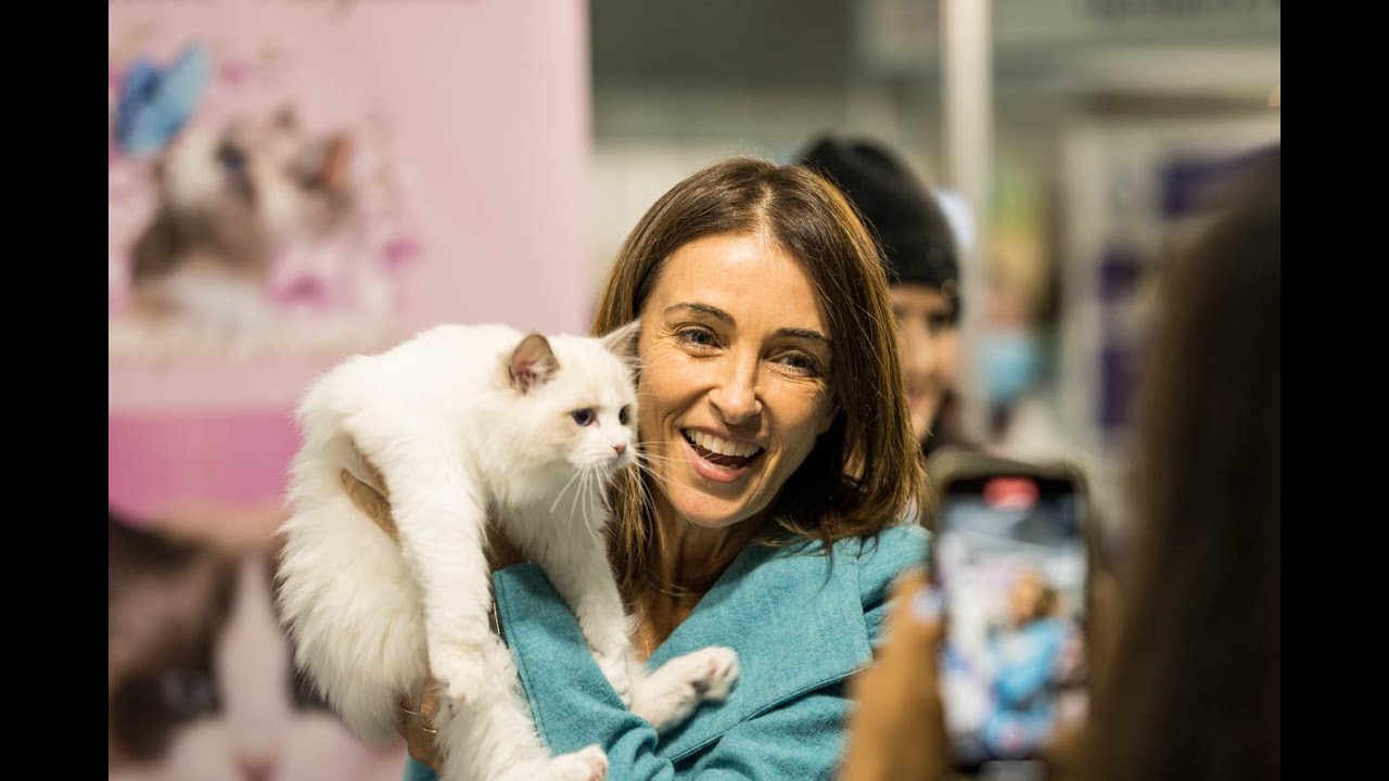 2022 Melbourne Cat Lovers Show 30sec Highlight Video YouTube