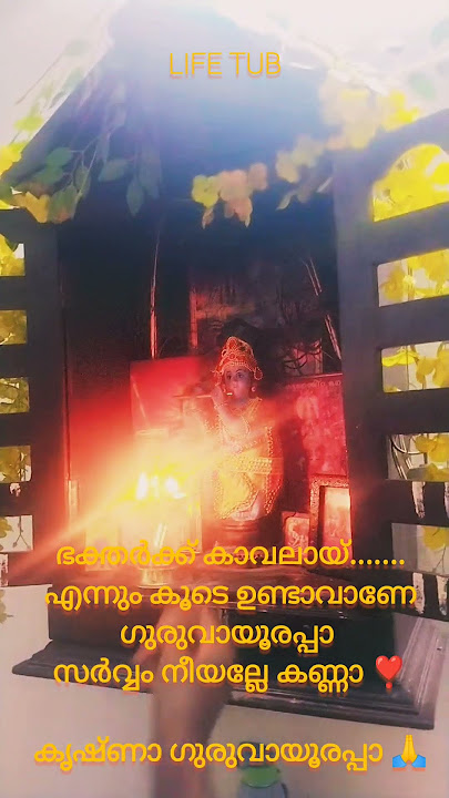 May you always be with me, Guruvayurappa, aren't you all Krishna Guruvayurappa♥️ #harekrshna #kri...