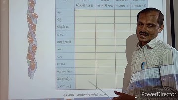 Std - 4 Asapas unit -13 Nadini safar part - 3 Jignesh sir Adarsh primary school Lakhtar