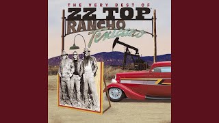 Video thumbnail of "ZZ Top - Woke up with Wood (2003 Remaster)"