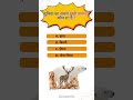 दुनिया का सबसे दुखी जानवर  | Polar Bear Fact 🐻‍❄️ | Mind Blowing GK #shorts #gk #animal #viralshort