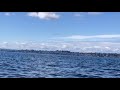 Low tides in Puget Sound this weekend