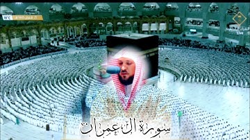 يا له من أداء ! ترتيل بالكرد ترق له القلوب | من سورة ال عمران صلاة الفجر 21 شعبان 1443 ماهر المعيقلي