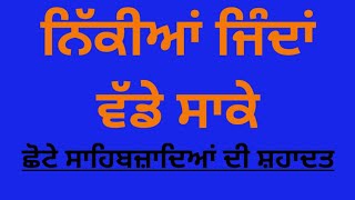 Sahibzada Zorawar Singh Ji, Sahibzada Fateh Singh Ji