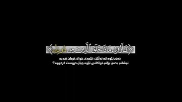 ( هَٰذَا خَلْقُ اللَّهِ فَأَرُونِي) ابداع محمد اللحيدان في سورة لقمان أية (11 )