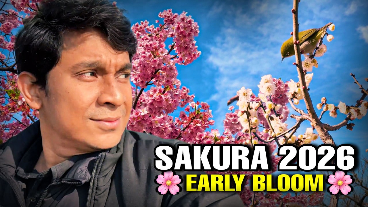 Japan Sakura is EARLY This Year… and We Found a Mejiro Bird! 🌸 (2026)