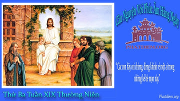 Thứ Ba Tuần XIX Thường Niên: Các con hãy coi chừng, đừng khinh rẻ một ai trong những kẻ bé mọn này