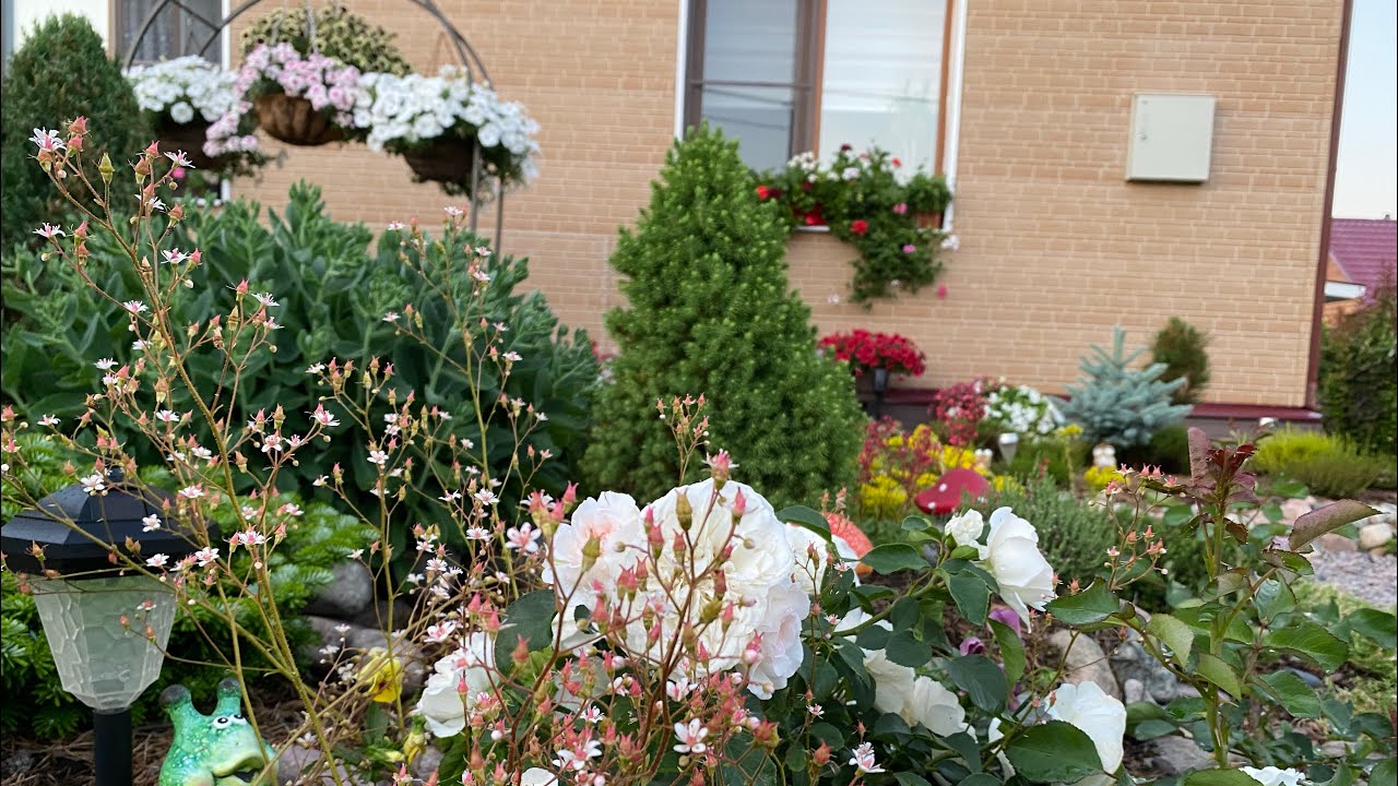 Лето😊Жара🌞Красивые цветочки в моём маленьком цветничке🌸стрижка✂️пересадка🌱обзор стройки🏡