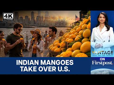 How Did Indian Mangoes Become America's Hottest Luxury Obsession Vantage on Firstpost 4K