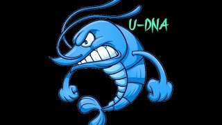 АРТАВОДЫ передают привет  VIII U-DNA день 3