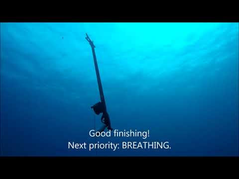 Spearfish - Dusky