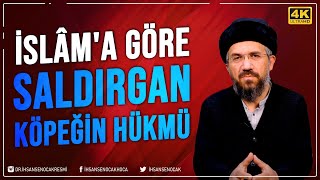 İslâm'a Göre Saldırgan Köpeğin Hükmü | İhsan Şenocak