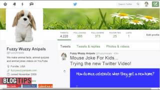 How To Upload Video To Twitter from Desktop