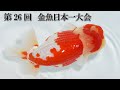 第26回　金魚日本一大会　（金魚品評会　弥富）