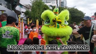 LION DANCE THE STARLING || CNY DAY 8 || 大年初八