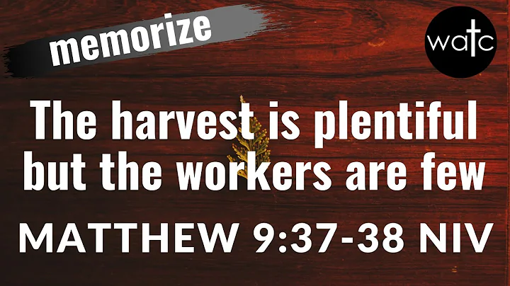 Matthew 9:37-38 NIV (Jesus, harvest, workers): Read, recite, and memorize Bible verses