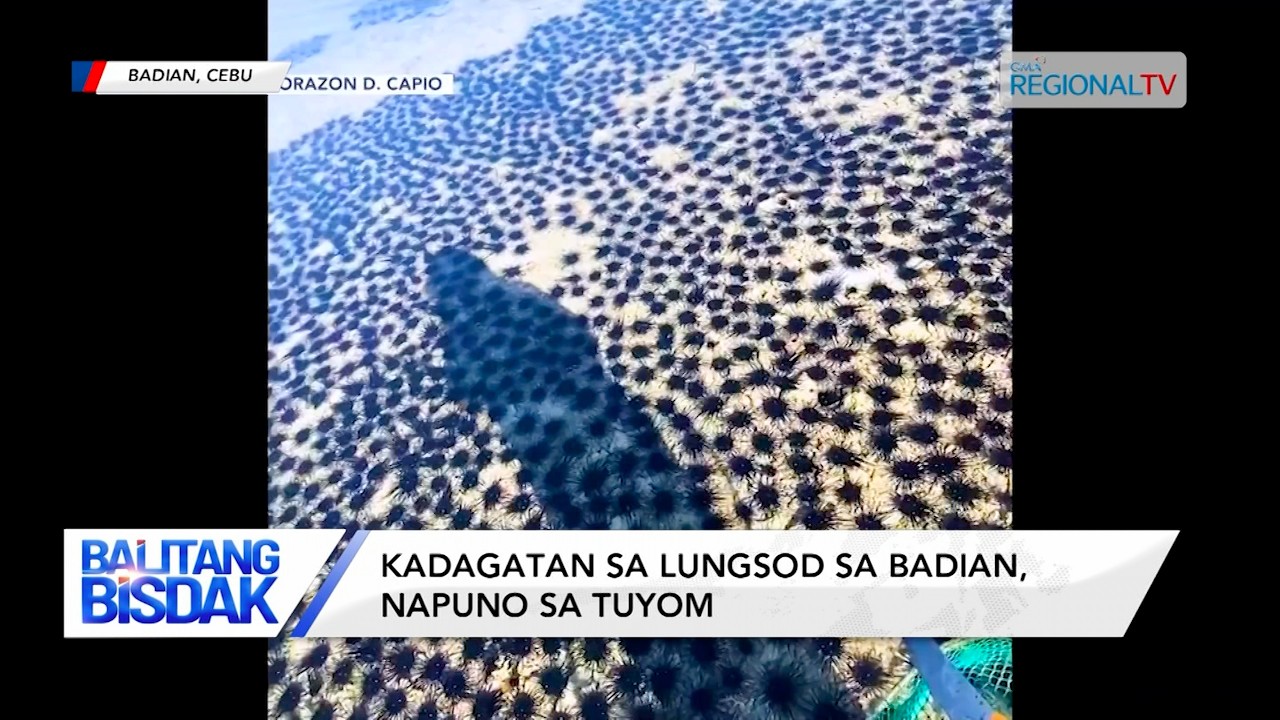Daghang Tuyom, Napadpad sa Baybayon sa Badian | Balitang Bisdak