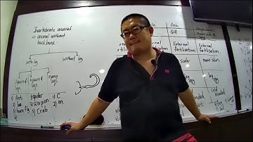 form 2 chapter 1 biodiversity part 2