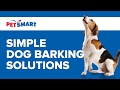 PetSmart Can Help: Simple Dog Barking Solutions PetSmart Can Help: Simple Dog Barking Solutions