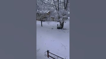 Snowfall in Chicago 2023 |  Beautiful Weather.