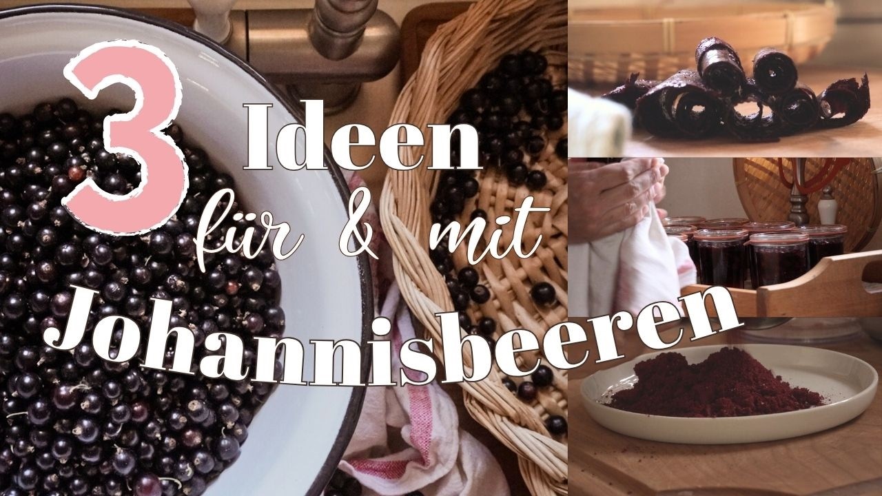 Johannisbeeren haltbar machen 🍇 Kompott einkochen, Fruchtleder & Fruchtpulver ohne Schnick Schnack