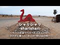 シャリシャリ ~サハラ砂漠でベルベル人さんの引くラクダに乗った"あとの"想い出の唄 ~