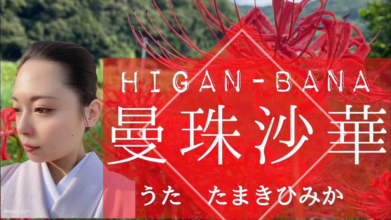 掛軸　箱崎睦昌　『白秋』　共箱　太巻 　美品　【彼岸花　曼珠沙華】 曼珠沙華(ひがんばな)北原白秋/山田耕筰【ソプラノ瑞樹比美香】Higan