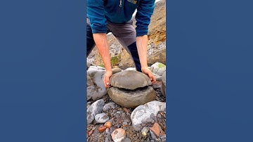 Thes💸 fossils🤑 amazing Jurassic time 🦖#ammonite#dinosaur#scientist#minerals#whitby#geologist#dorset