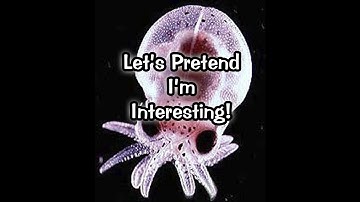 Doing a Q & A video! Q me, so that I might A!